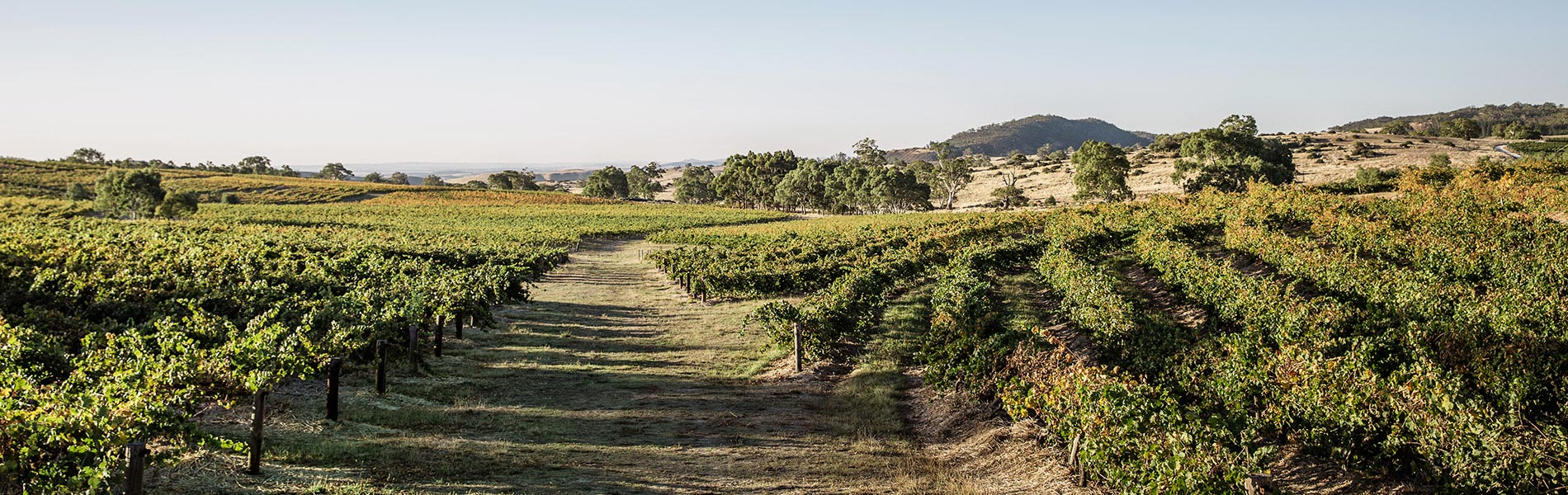 Eden Valley, SA