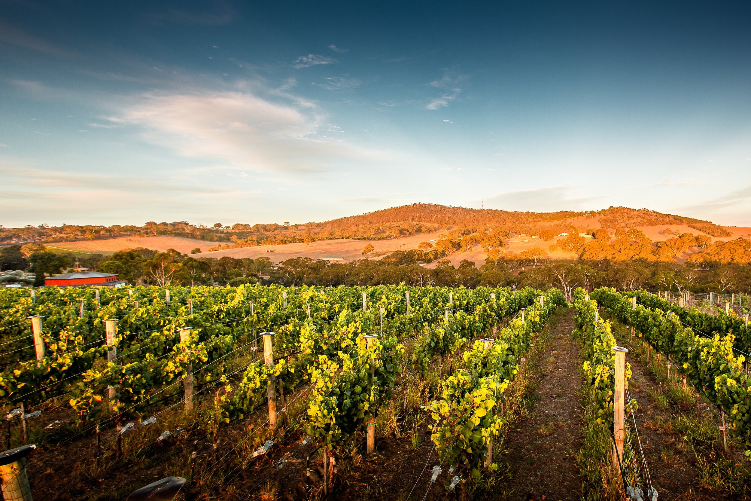 Ngeringa Estate Wines