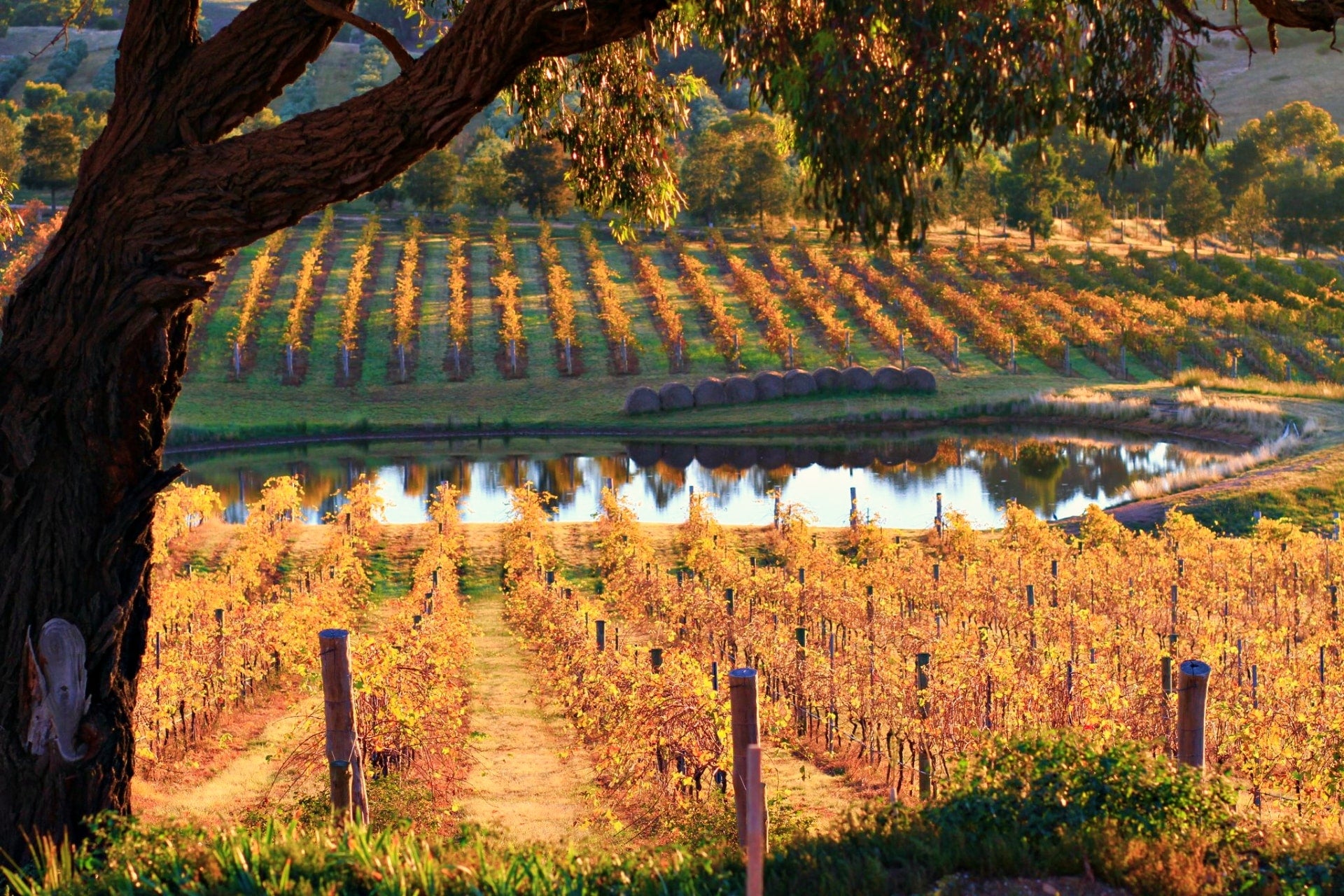 Heathcote, Vic