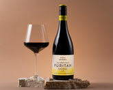 BattleofBosworth_Puritan_Shiraz
