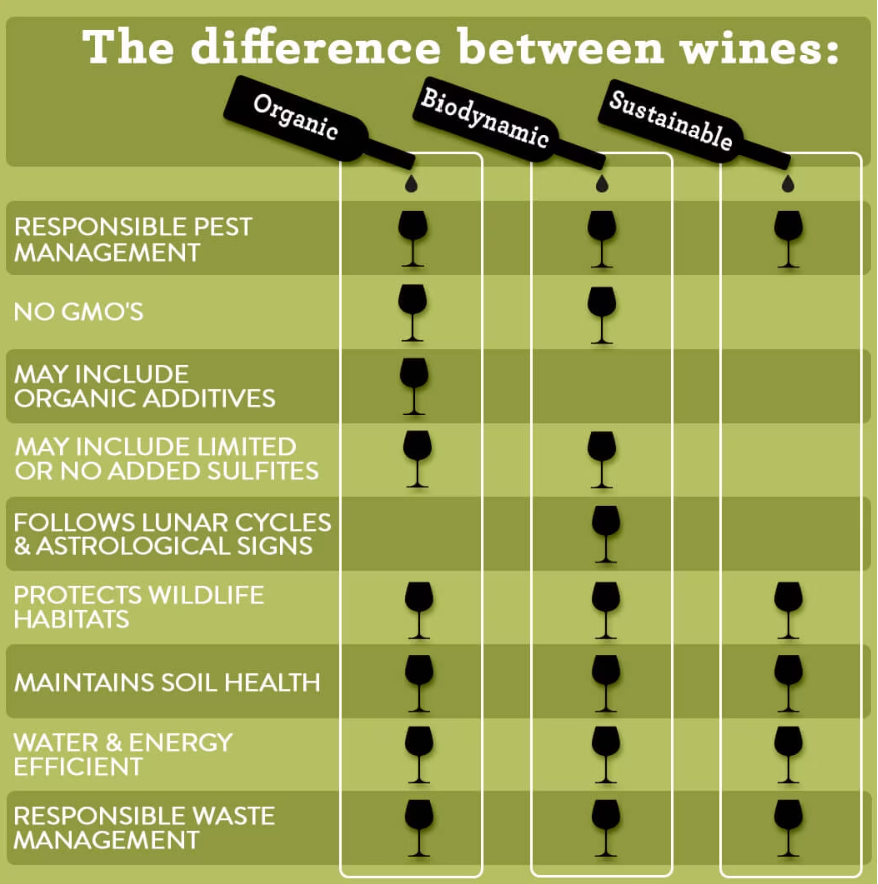 What are Biodynamic and Organic Wines?