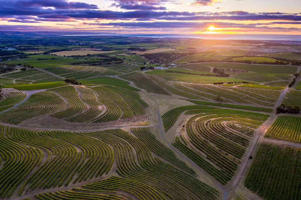 McLaren Vale wineries